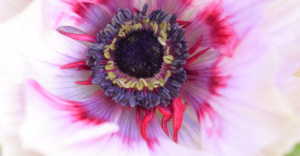 découvrez les résultats du shampoing violet pour neutraliser les reflets jaunes et illuminer les cheveux blonds ou gris.