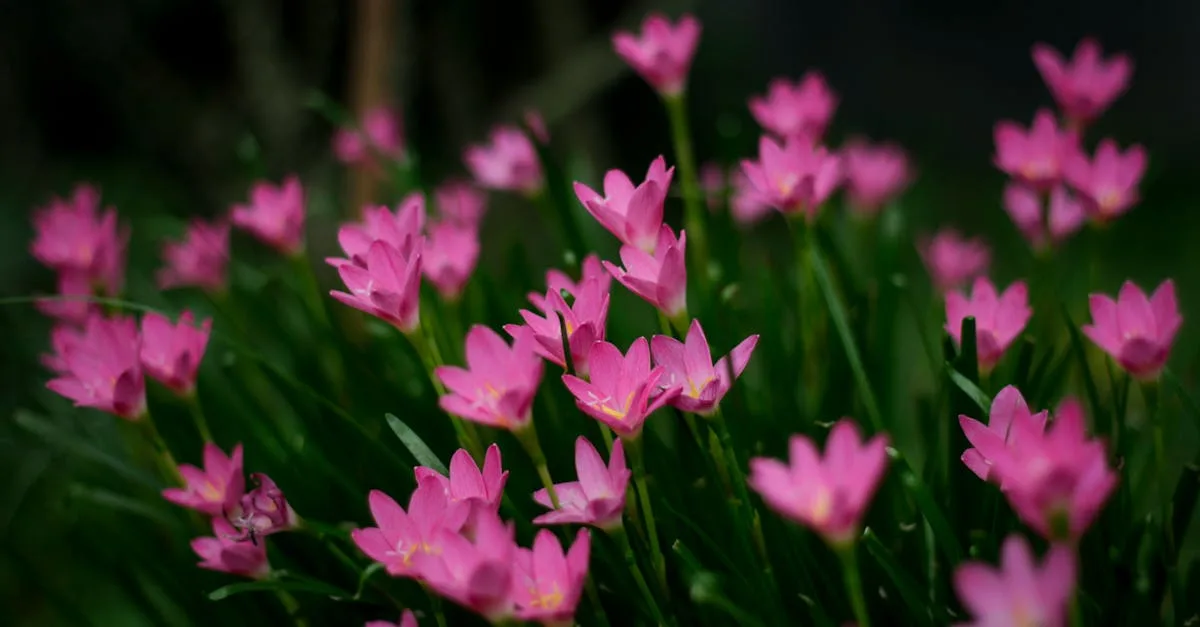 découvrez les secrets de la beauté naturelle et des soins innovants pour sublimer votre peau et votre bien-être au quotidien.