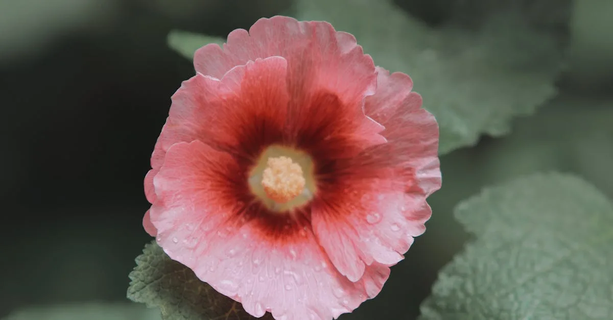 découvrez les secrets de la beauté naturelle, des conseils experts et des astuces pour sublimer votre peau, vos cheveux et votre bien-être au quotidien.