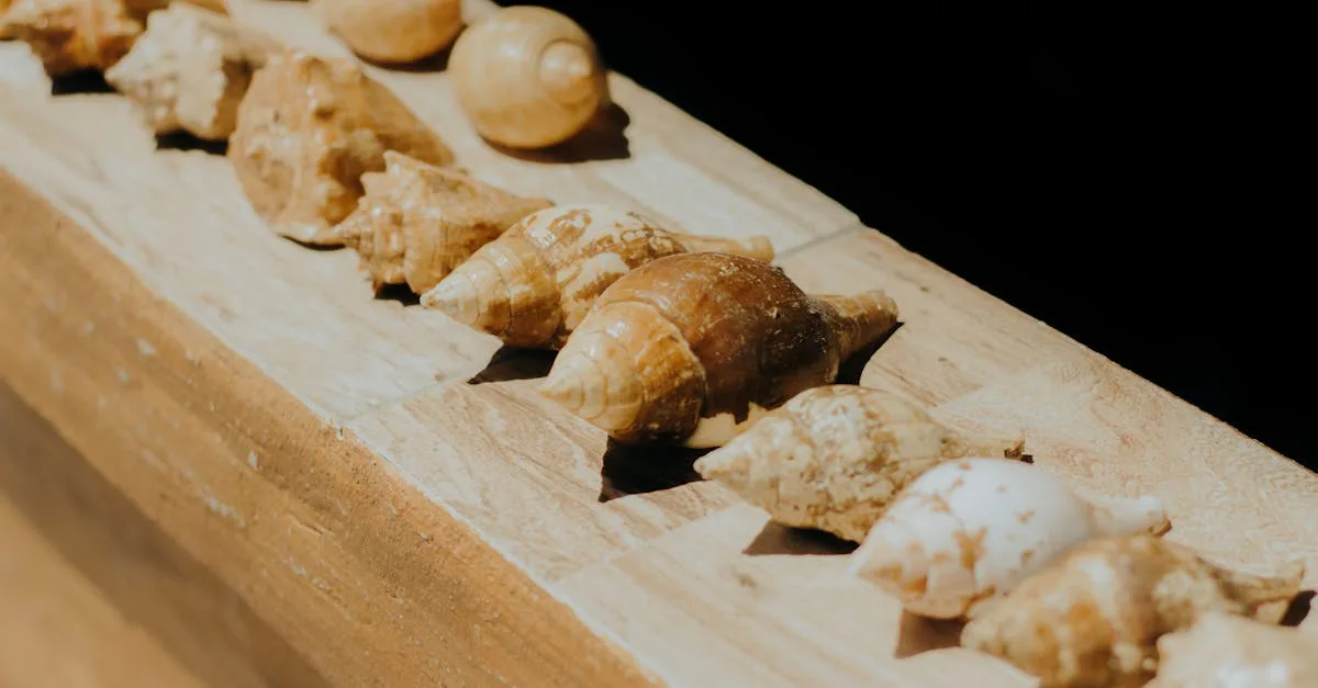 découvrez les avantages du piercing conque : style unique, valorisation de l'oreille et expression personnelle.