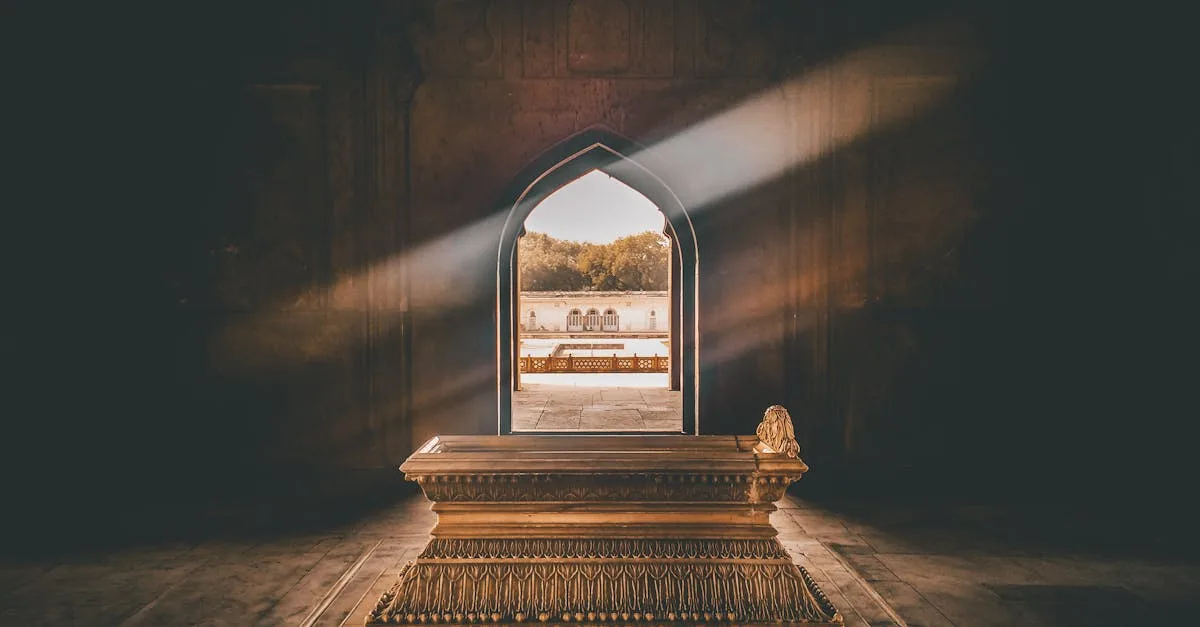 découvrez damaclea, votre destination incontournable pour des solutions innovantes et des services de qualité adaptés à vos besoins.