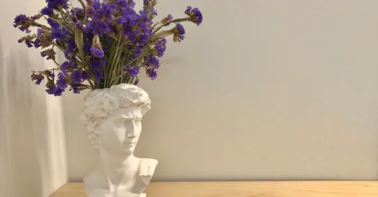 découvrez tout sur david banda, sa vie, sa carrière et ses réalisations. suivez l'actualité et les dernières informations le concernant.