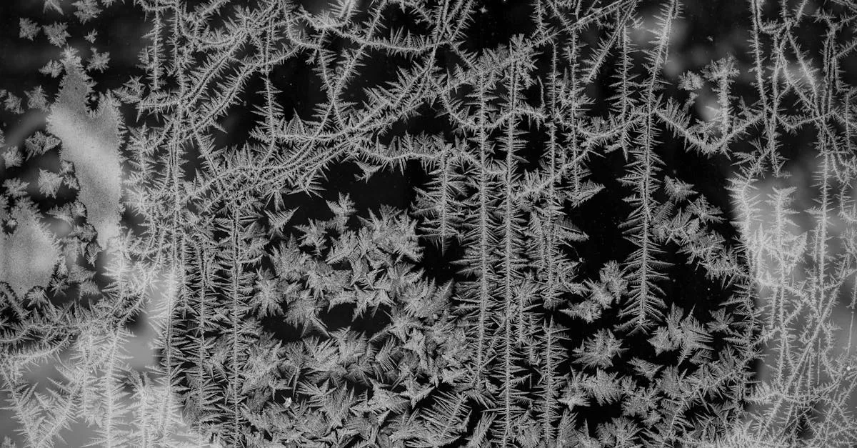 découvrez tout sur le concept de 'freezing' : techniques, impacts et conseils pour mieux comprendre et gérer le phénomène de congélation.