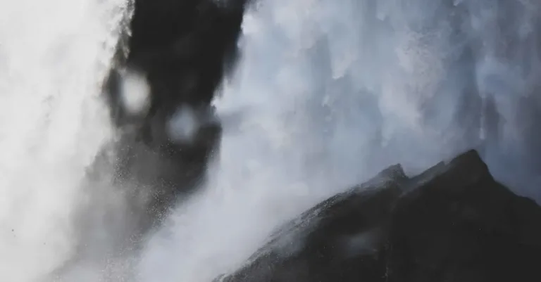 découvrez tout sur le phénomène de la congélation, ses applications et conseils pour bien conserver vos aliments au froid.