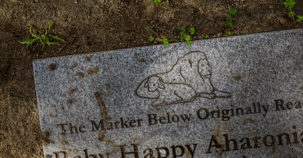 découvrez julian casablancas, leader du groupe the strokes, artiste solo innovant et influence majeure de la scène rock alternative.