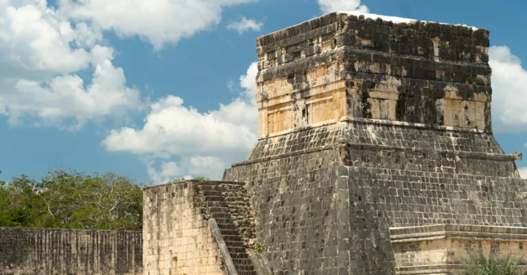 découvrez tout sur maya rose binard : biographie, parcours, actualités et réalisations de cette personnalité inspirante.