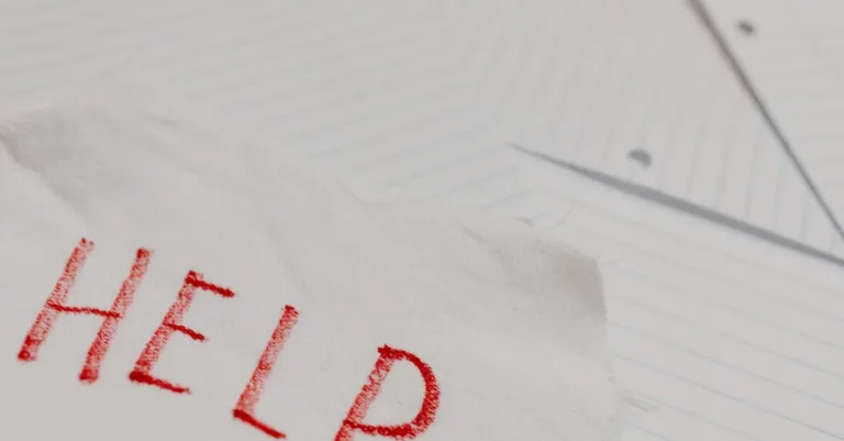 découvrez rouba saadeh, une personnalité inspirante reconnue pour son expertise et son engagement dans son domaine.