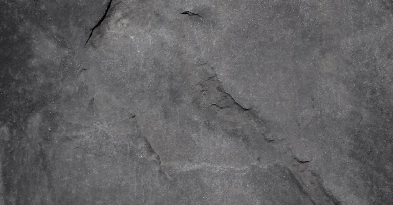 découvrez tout sur le chéloïde : causes, symptômes et options de traitement pour prévenir et atténuer ces cicatrices surélevées.