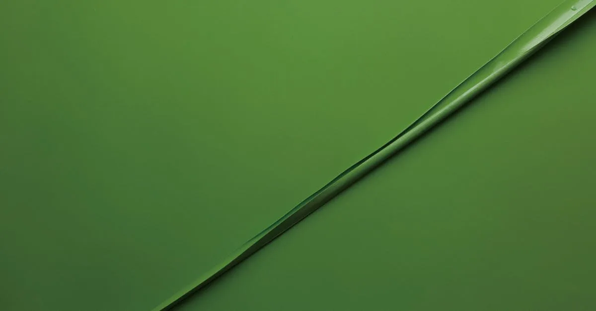 découvrez le pittosporum, un arbuste ornemental apprécié pour son feuillage dense et ses fleurs parfumées, idéal pour enrichir votre jardin et créer des haies élégantes.