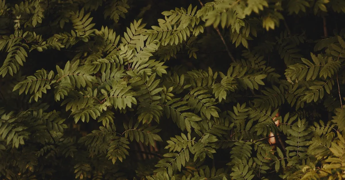 découvrez jesmonite, un matériau composite innovant et écologique, idéal pour la création artistique, la décoration et la construction durable.