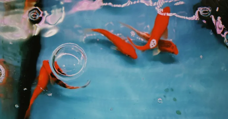 jesmonite est un matériau composite polyvalent, utilisé en décoration, sculpture et construction pour ses qualités écologiques, légèreté et finition esthétique.