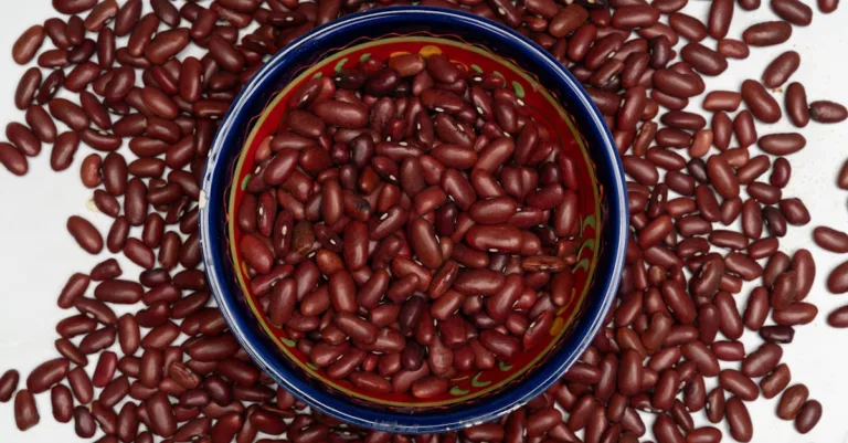 découvrez les aliments naturels qui favorisent le nettoyage et la détoxification des reins pour une meilleure santé rénale.