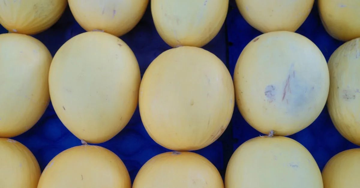 découvrez les avis et critiques sur proteochoc, avec des retours d'utilisateurs, bénéfices et éventuels effets secondaires pour vous aider à faire un choix éclairé.