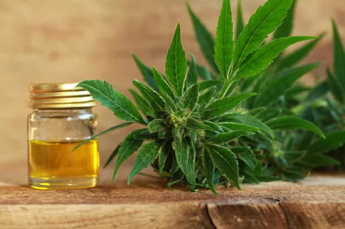 solutions naturelles pour réduire le stress à la maison