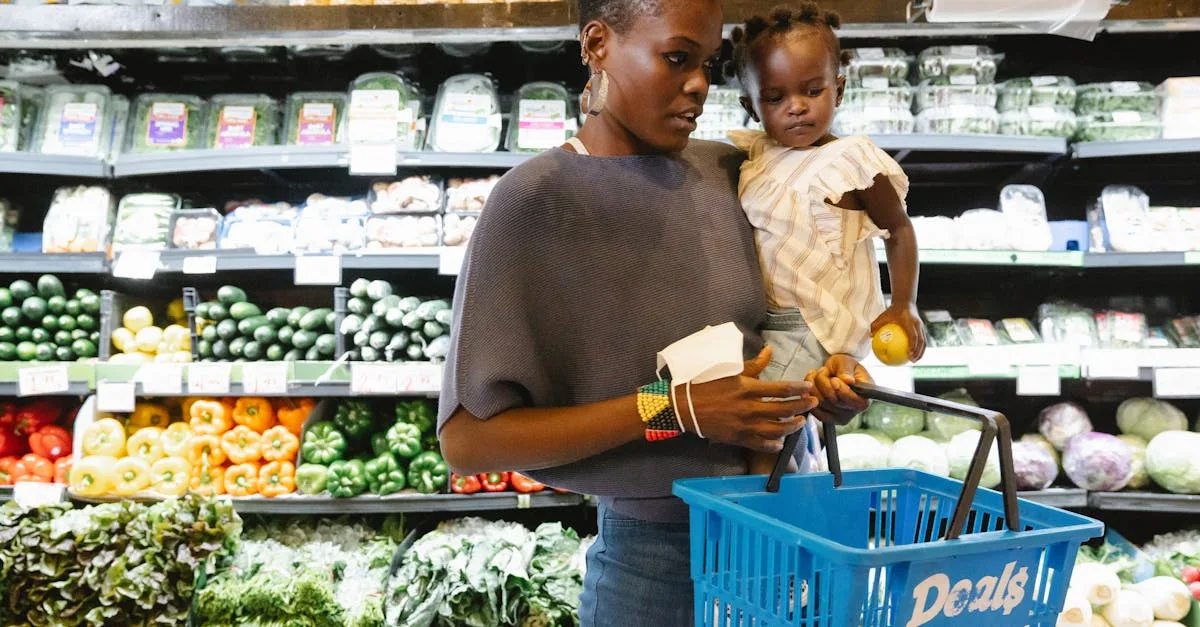 découvrez notre liste complète de magasins pour trouver facilement vos produits préférés près de chez vous.