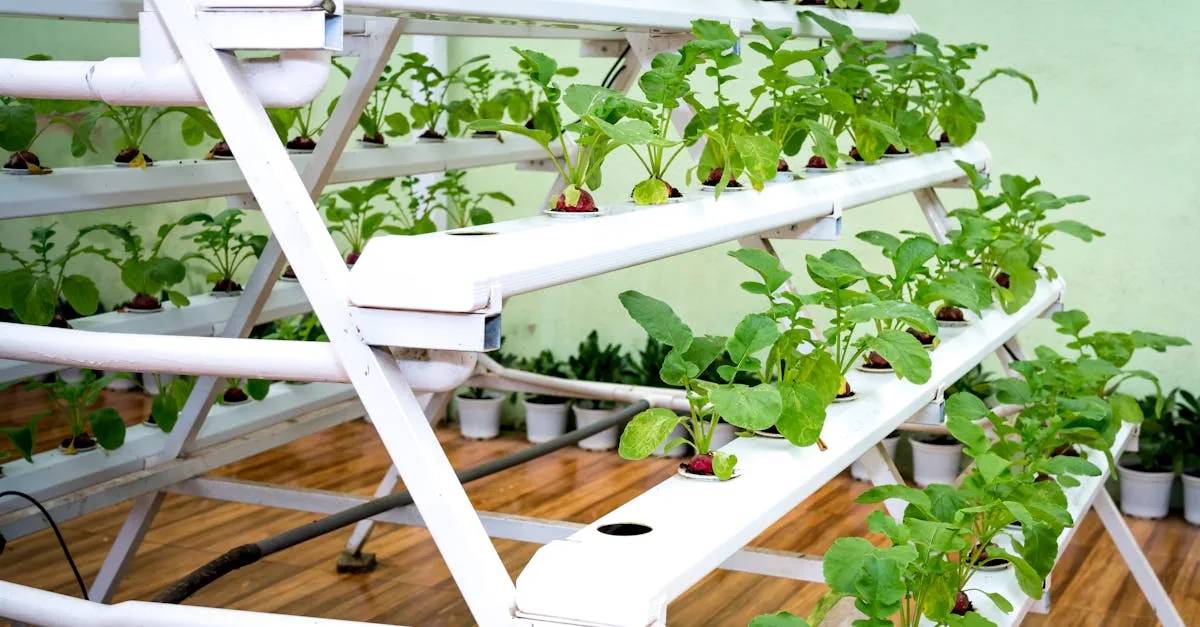 découvrez l'aquaponie, une méthode durable combinant culture de plantes et élevage de poissons pour un écosystème autonome et écologique.