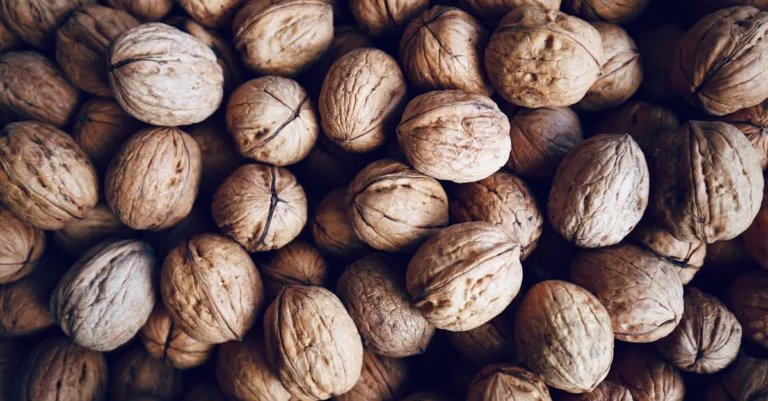 découvrez les bienfaits pour la santé du sirop d'orgeat, un sirop naturel riche en amandes qui favorise la digestion, apporte des minéraux essentiels et possède des propriétés énergisantes.