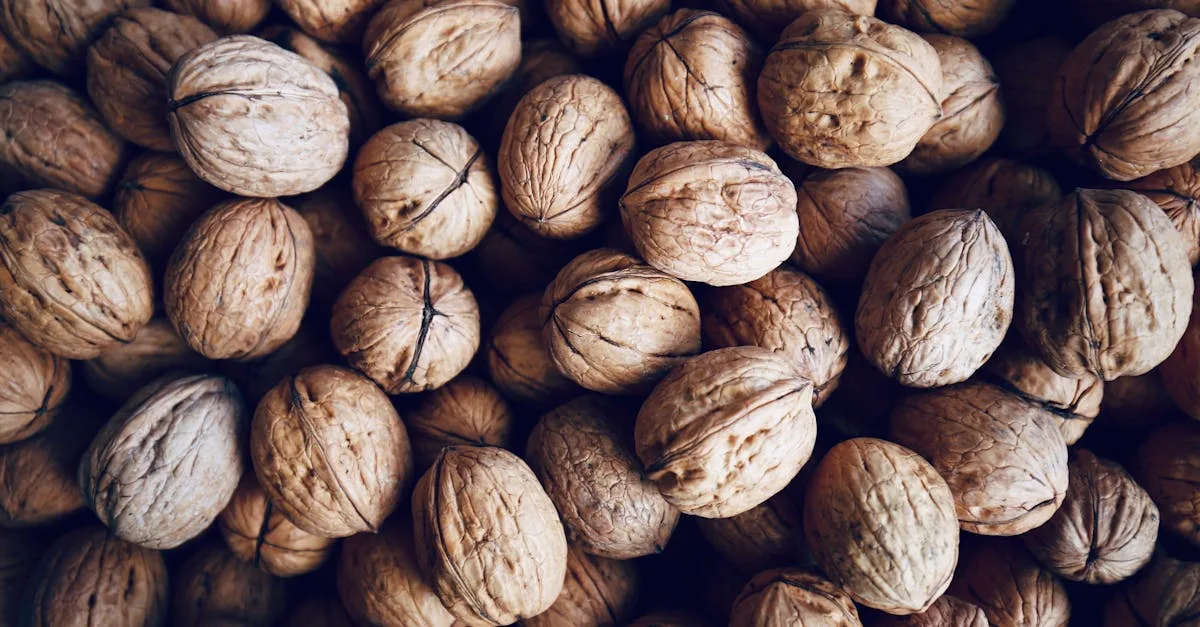 découvrez les bienfaits pour la santé du sirop d'orgeat, un sirop naturel riche en amandes qui favorise la digestion, apporte des minéraux essentiels et possède des propriétés énergisantes.