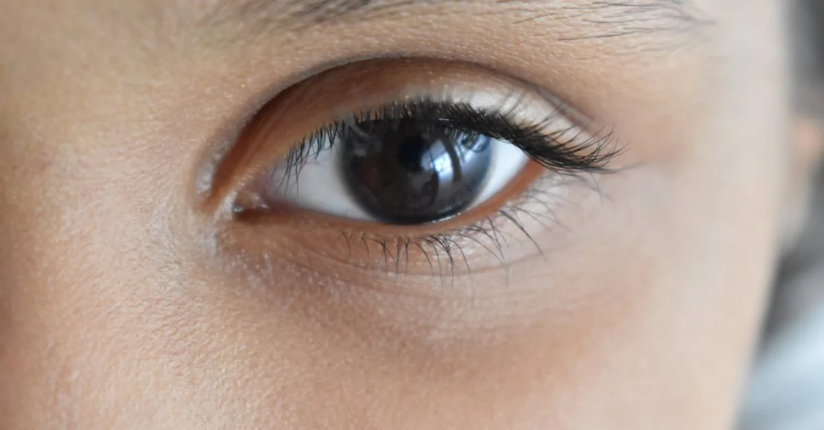 découvrez nos extensions de cils permanentes pour un regard intense et naturel, longue tenue garantie.