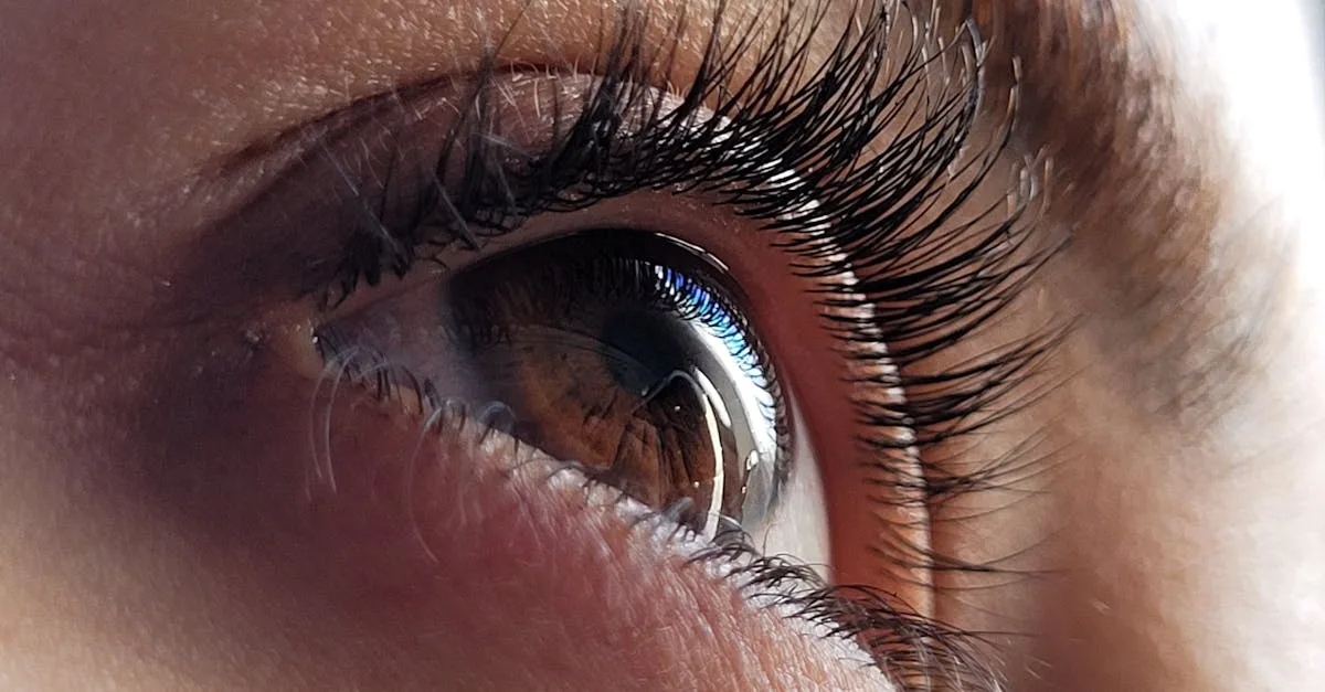 découvrez nos extensions de cils permanentes pour un regard intensément sublimé, naturel et longue durée. profitez d'un effet glamour sans entretien quotidien.