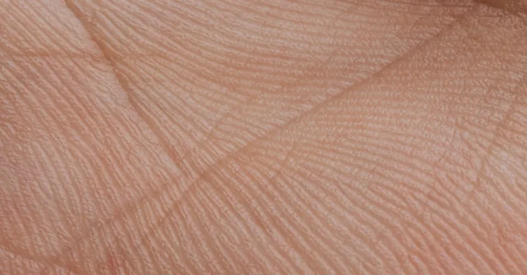 découvrez tout sur la peau : soins, types de peau, conseils beauté et santé pour une peau éclatante et en bonne santé.