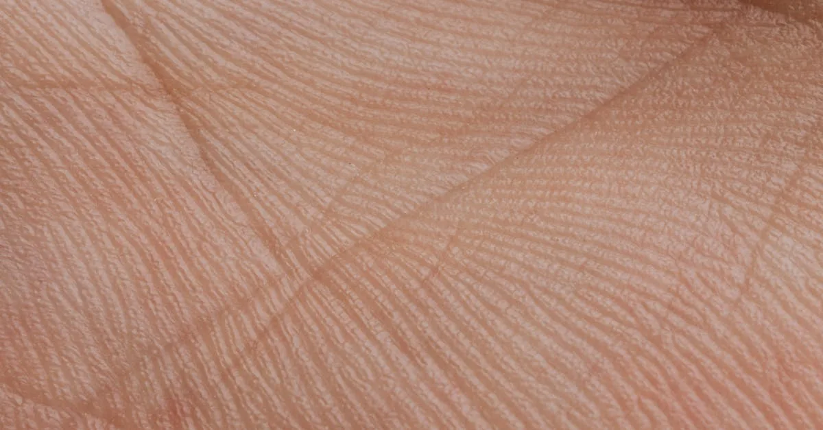 découvrez tout sur la peau : soins, types de peau, conseils beauté et santé pour une peau éclatante et en bonne santé.