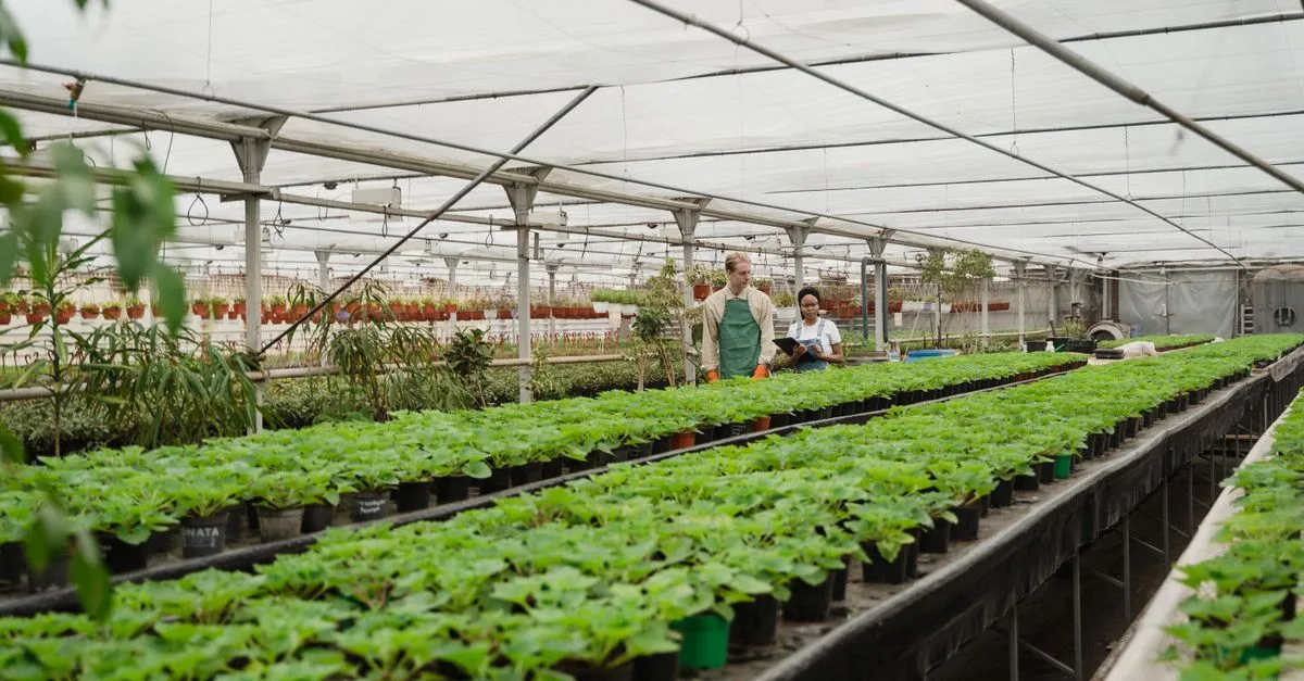 découvrez les pratiques d'agriculture durable pour préserver les ressources naturelles, promouvoir la biodiversité et assurer une production alimentaire responsable et respectueuse de l'environnement.