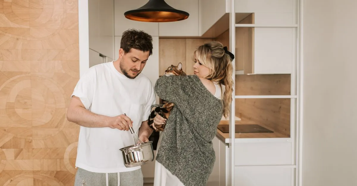 conseils pratiques pour une cohabitation harmonieuse entre chats : comprendre leur comportement, favoriser la paix et éviter les conflits.