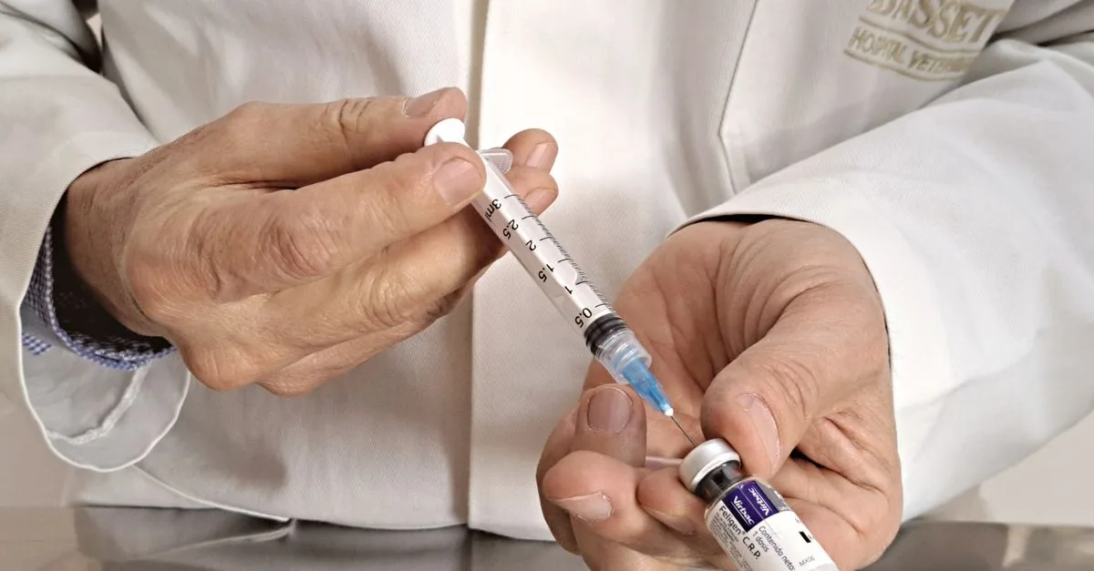 découvrez la durée d'action de la cortisone, ses effets et son utilisation optimale pour un traitement efficace et sécurisé.